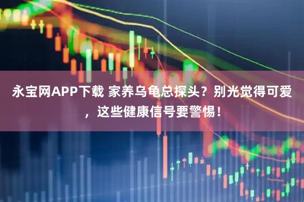 永宝网APP下载 家养乌龟总探头？别光觉得可爱，这些健康信号要警惕！