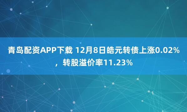 青岛配资APP下载 12月8日皓元转债上涨0.02%，转股溢价率11.23%